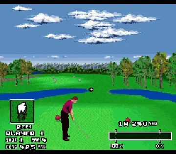 World Masters Golf (Europe) screen shot game playing